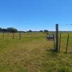 🏡 INVISTA NO LUGAR CERTO! TERRENOS À VENDA EM VIAMÃORS